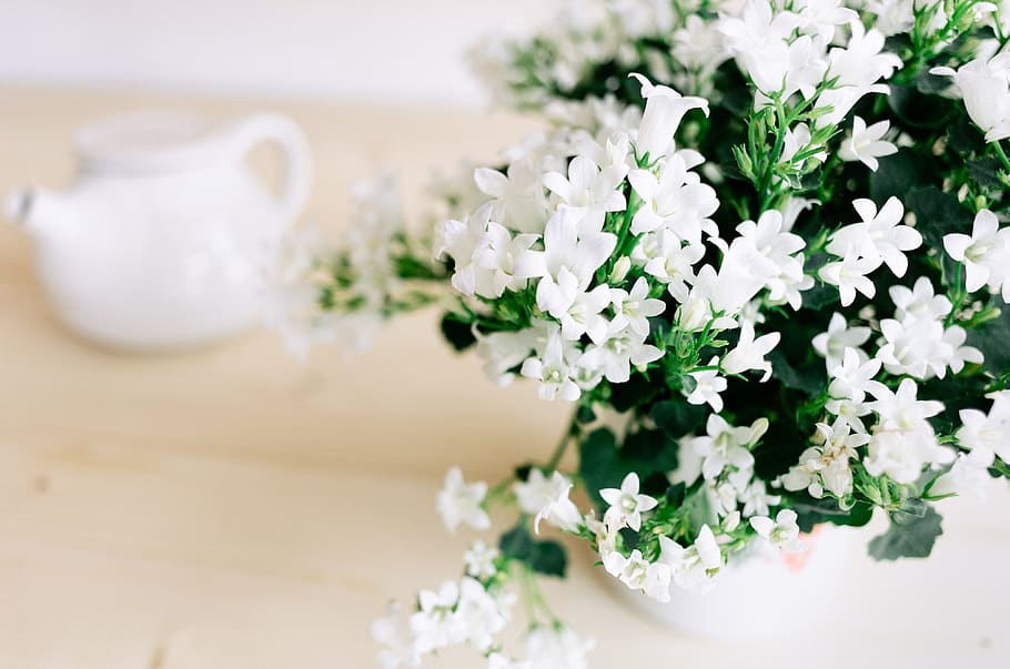 Summer flowers, nature, objects, bouquet, decoration, table, close-up HD wallpaper