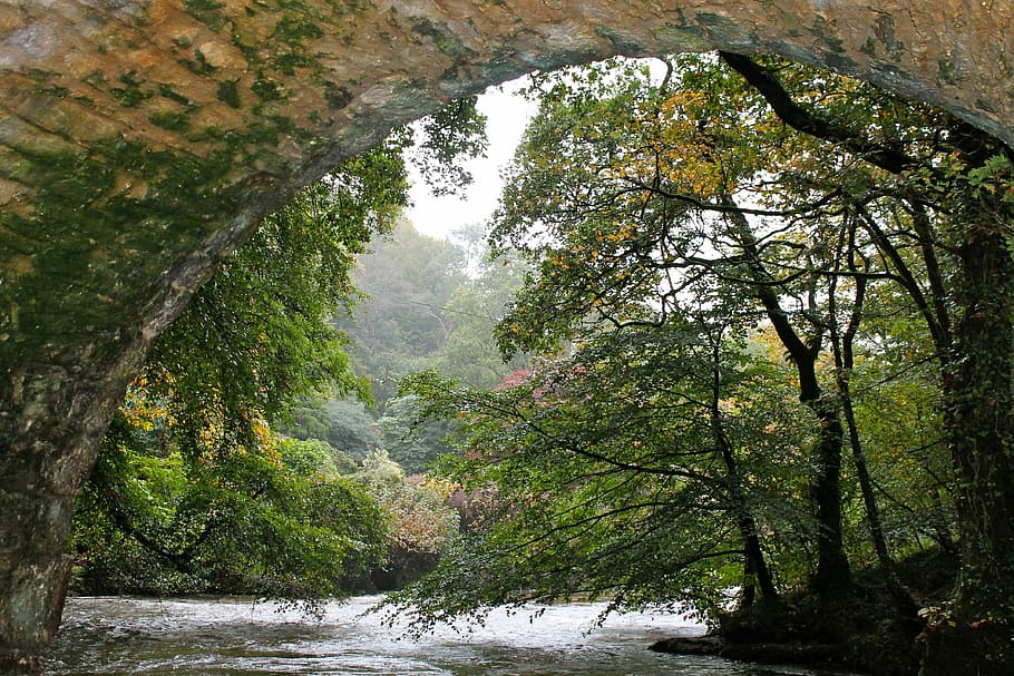 bridge, trees, river, autumn, leaves, sky, plant, water, beauty in nature HD wallpaper