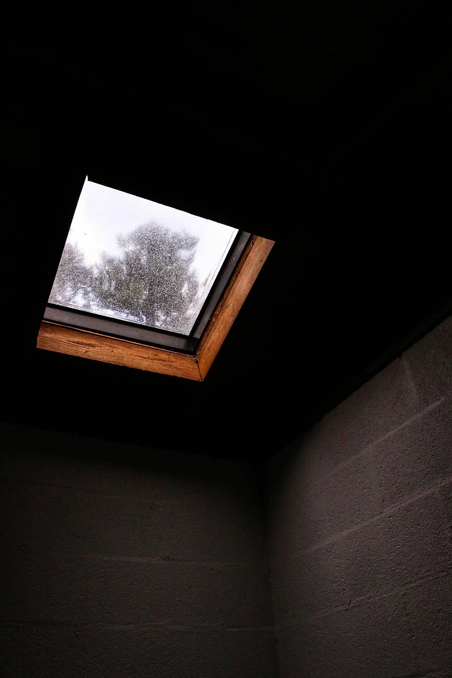 Looking Up, brown wooden framed clear glass window at daytime HD wallpaper