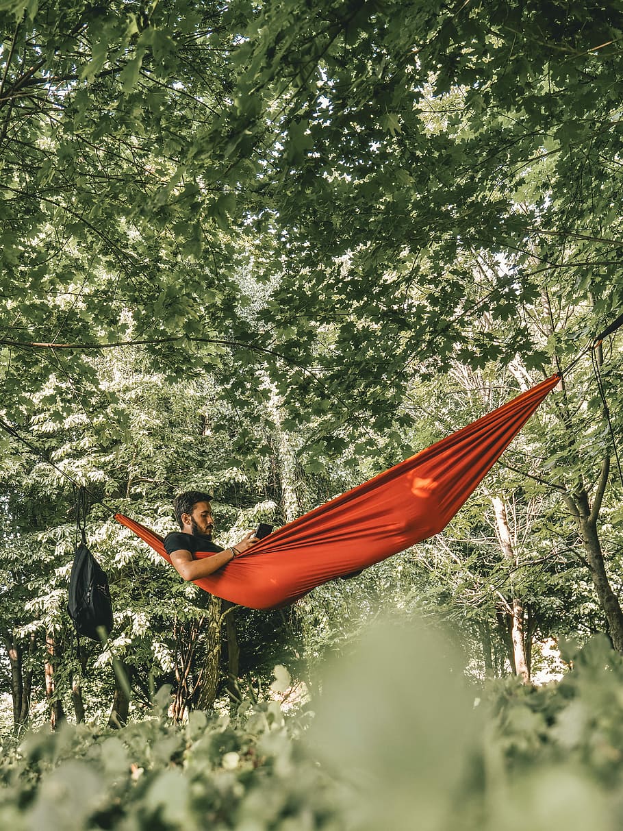 man on red hammock surrounded by trees during daytime, man lying on orange hanging hammock in forest HD wallpaper