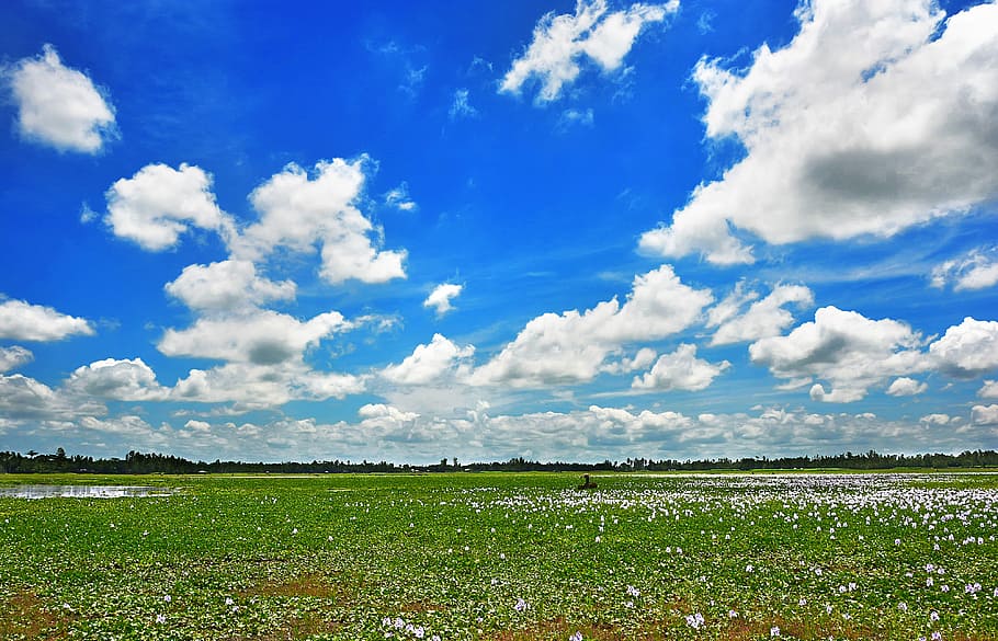 Sky, Blue, Clouds, green, nature, cloud - sky, grass, scenics HD wallpaper