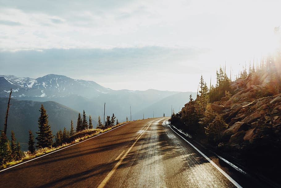 road surrounded of trees, landscape photography of road between trees HD wallpaper