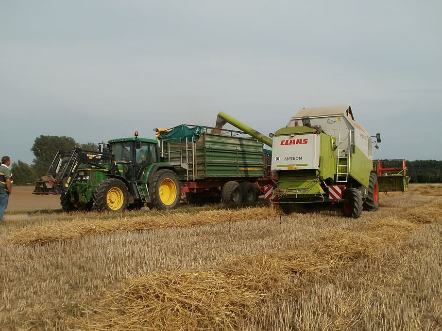 harvest, grain, tractors, loaders, combine, agriculture, wheat, HD wallpaper