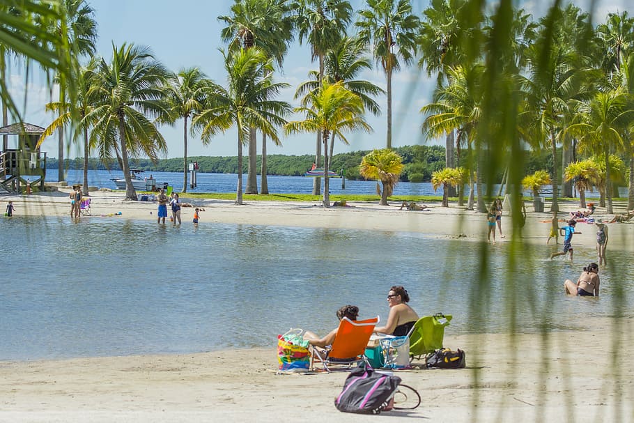 sun, beach, bay, water, tropical, relax, outdoors, palm tree HD wallpaper