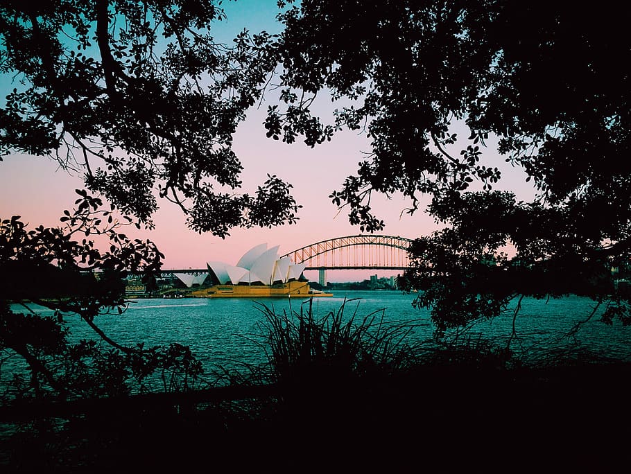 silhouette photo of trees with a view of Sydney Opera House, Sydney Opera House, Australia HD wallpaper