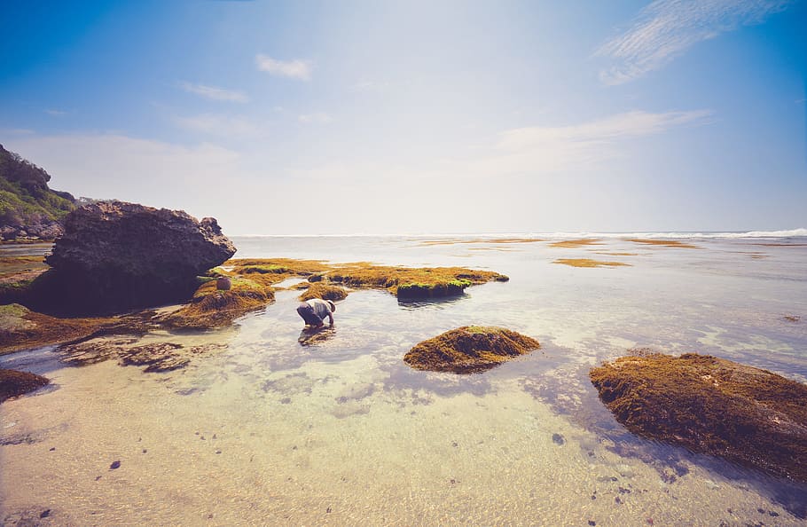 beach, sand, shore, coast, rocks, sunshine, blue, sky, summer HD wallpaper