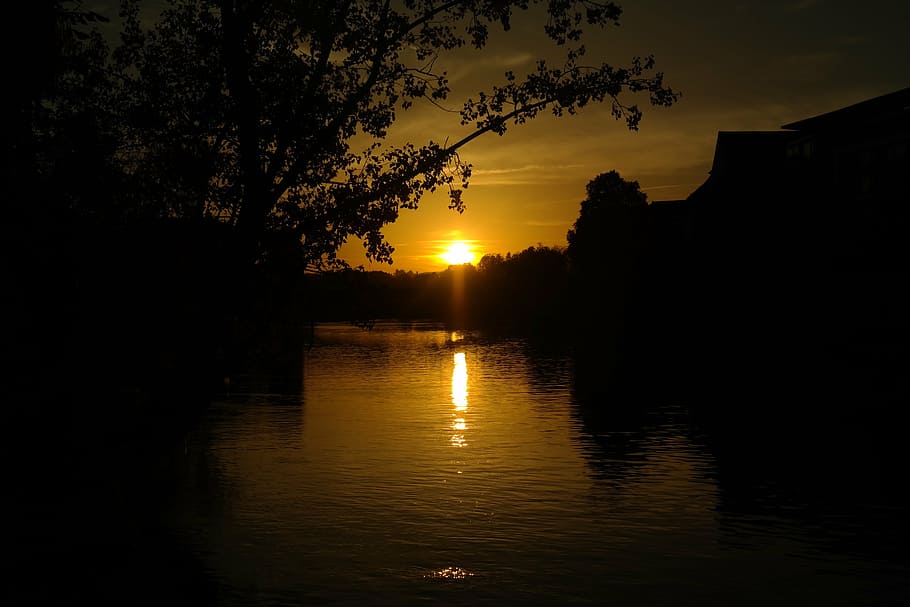 sunset, river, danube, water, tree, branch, evening, back light HD wallpaper