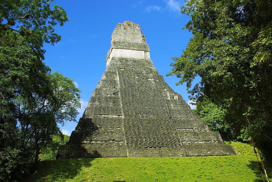 landscape photography of gray pyramid, tikal, maya, rainforest HD wallpaper