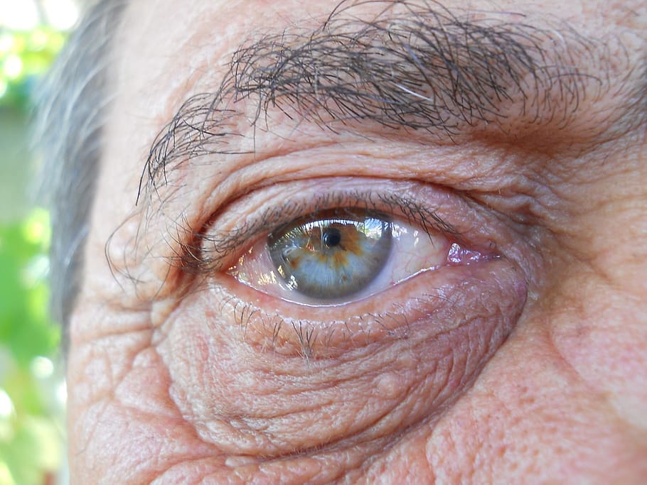 person's right eye, blue, gene, coloring, beauty, old, age HD wallpaper