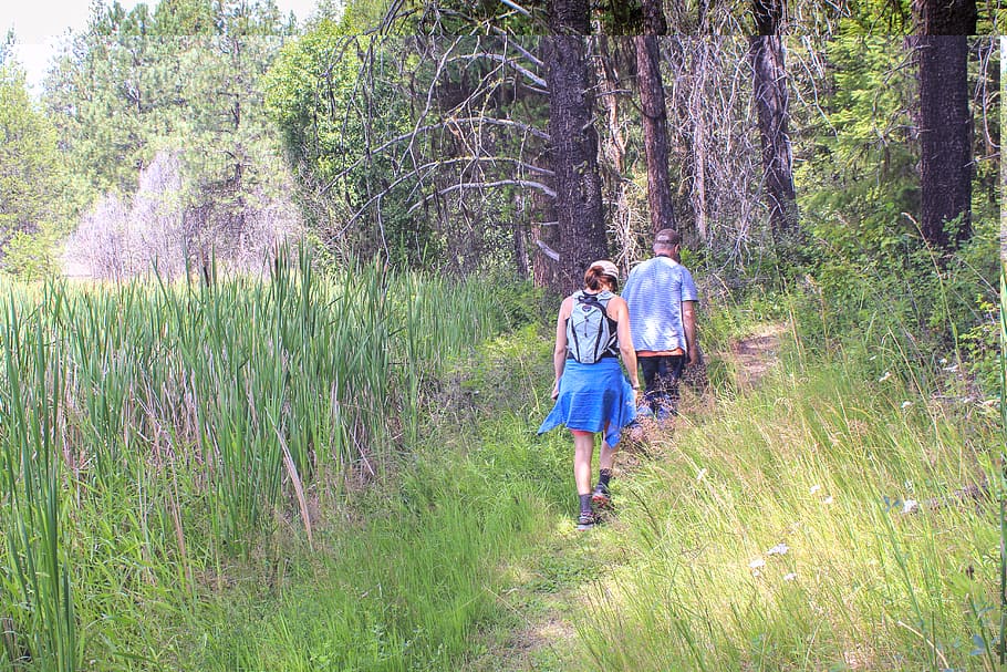 hike, hiking, couple, active, nature, forest, marsh, travel HD wallpaper