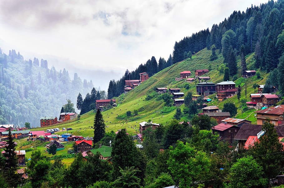 wooden houses on mountain near trees during daytime, wood-fibre boards