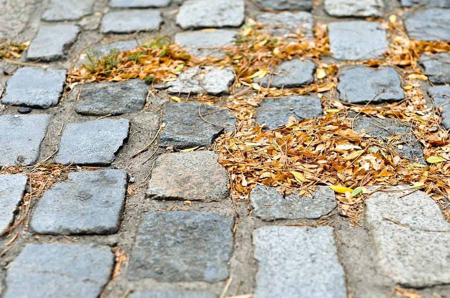 cobblestone, fall, autumn, street, leaves, old, sidewalk, texture HD wallpaper