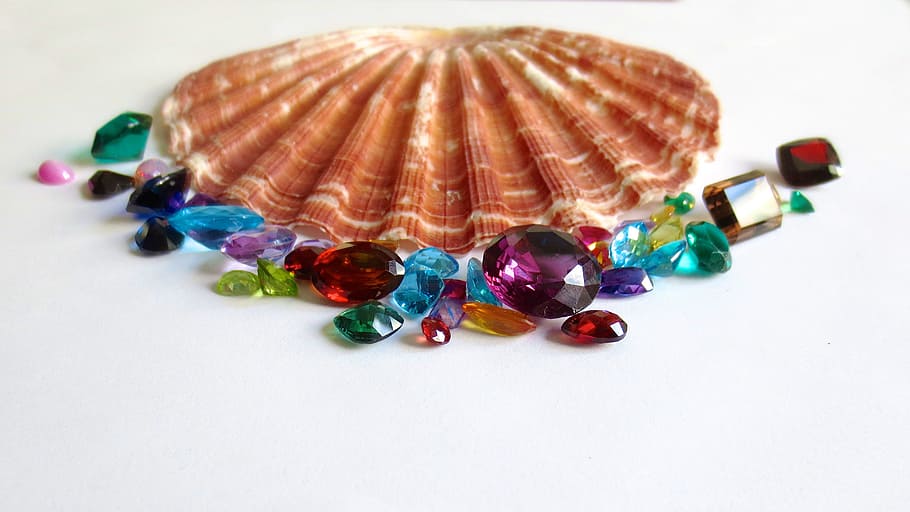 brown clam shell surrounded with assorted multicolored gemstones, HD wallpaper