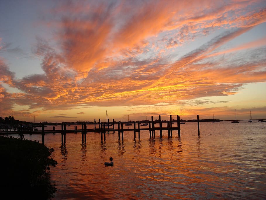 Sunset, Key, Key Largo, Florida, reflection, orange color, silhouette