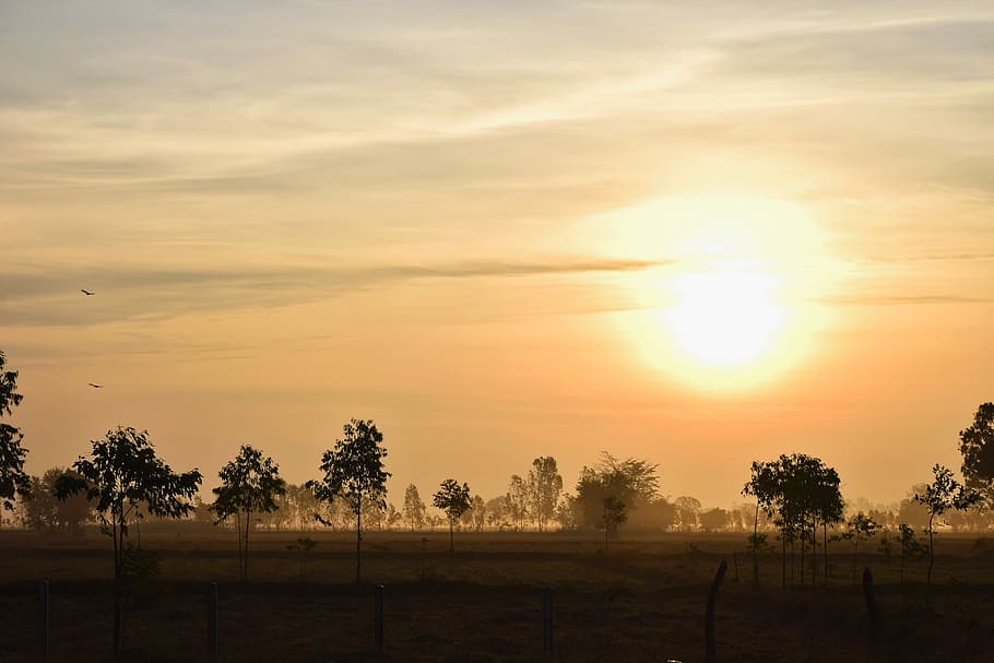 shadow, view, a beautiful view, sun, sunset, sky, silhouette HD wallpaper