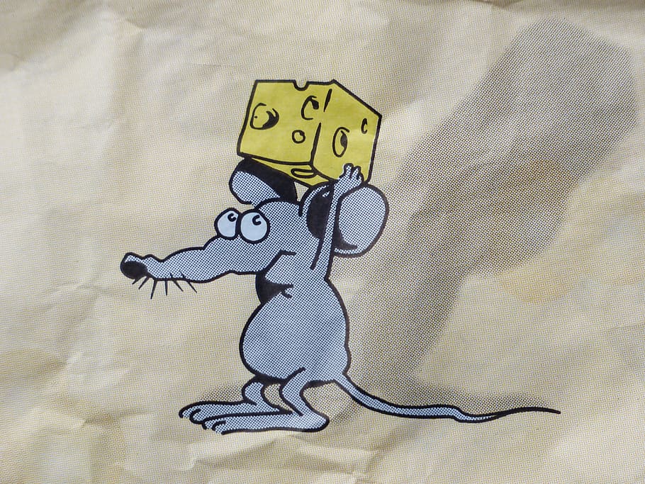 grey mouse carrying cheese illustration, stolen, three cheese high HD wallpaper