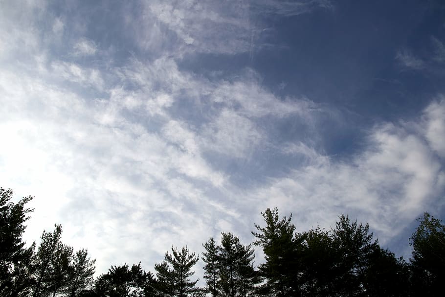clouds, sky, nature, blue, tree, outdoors, cloud - Sky, weather HD wallpaper