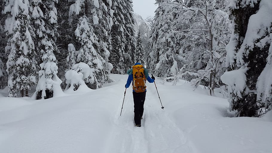 person between snow covered trees, hiking, forest, winter, cold HD wallpaper