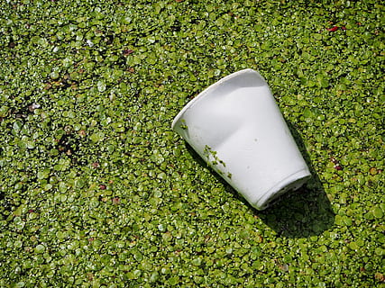 waste, pollution, cup, garbage, litter, discarded, plastic HD wallpaper