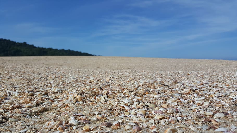 beach, mar, sand, shell, spooning, nature, caraguatatuba, ubatuba HD wallpaper