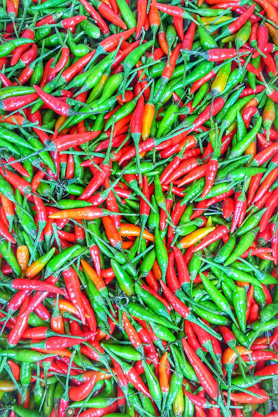 1,314 Red Mirchi Stock Photos - Free & Royalty-Free Stock Photos from  Dreamstime