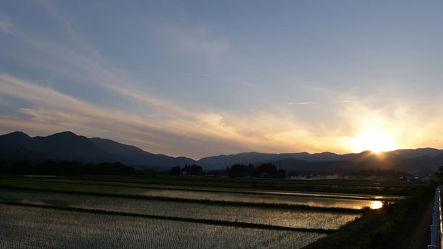 countryside, yamada's rice fields, sky, sunset, scenics - nature HD wallpaper