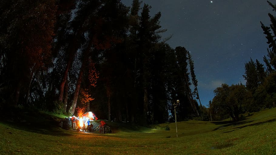 tent near green leaf tree, ecuador, el boliche, cotopaxi, weekend HD wallpaper