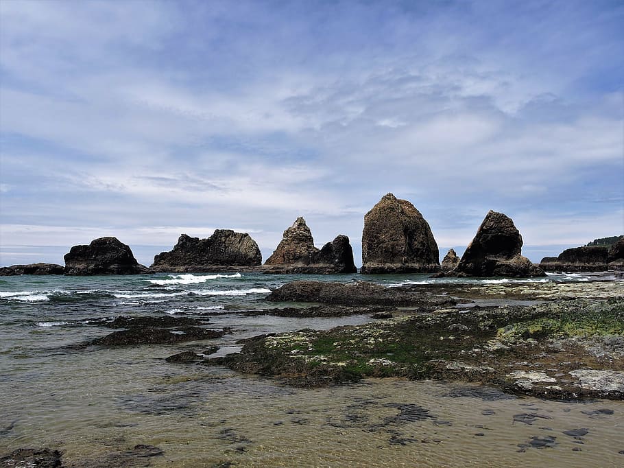 coast, oregon coast, ocean, water, beach, nature, sand, blue, HD wallpaper