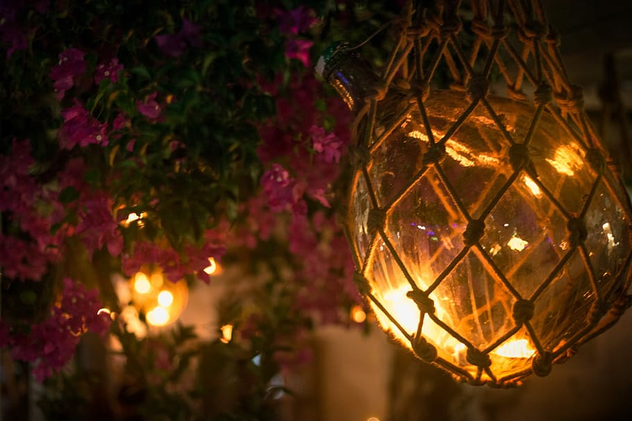 Light, Glow, Flowers, Night, Glass, design, net, pink, retro HD wallpaper