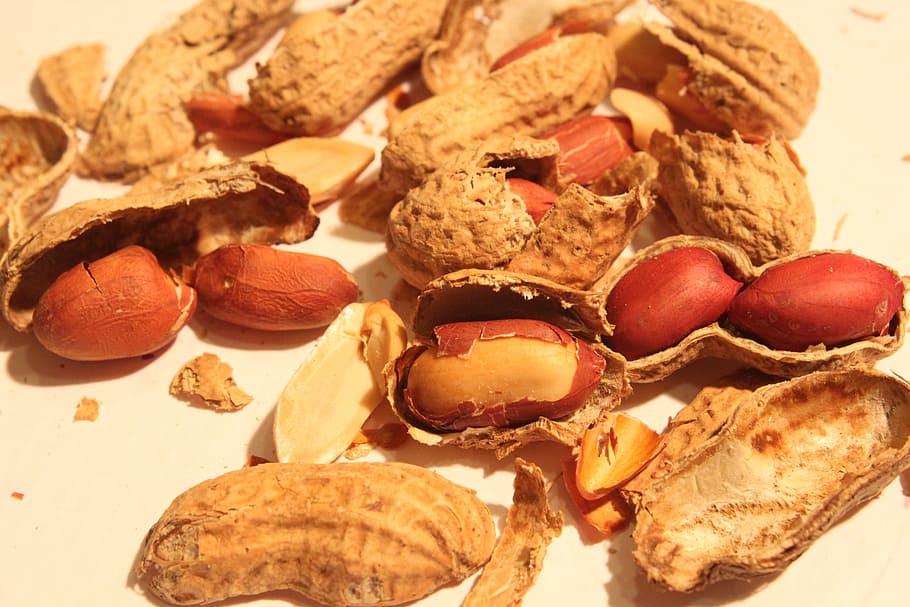 broken, peanut, roasted, shell, skin, smashed, food, drink HD wallpaper