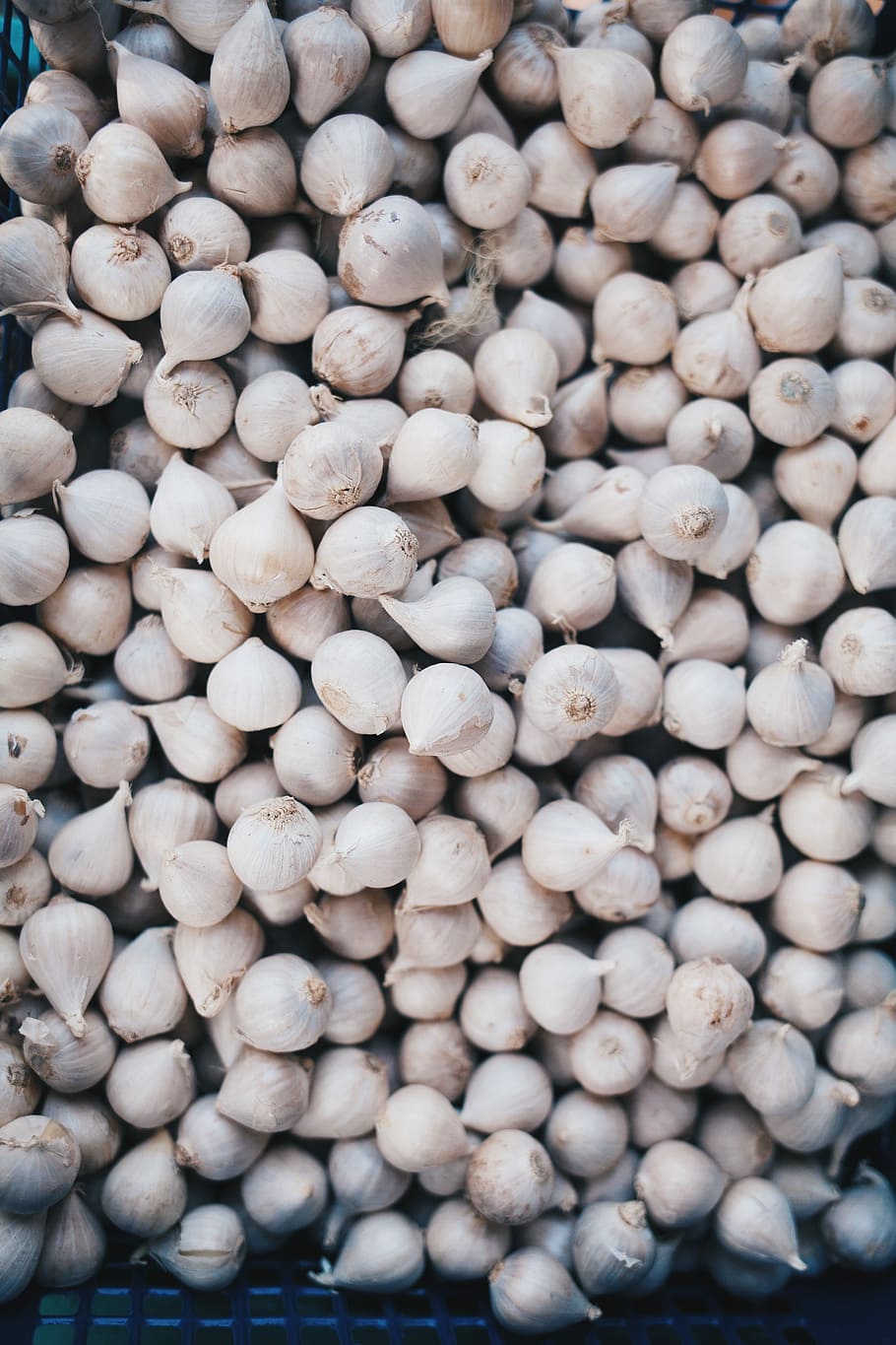 garlic lot, gray onion lot, vegetable, mass, pattern, flatlay HD wallpaper