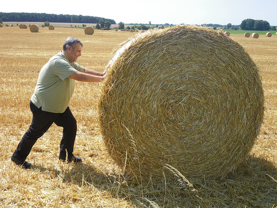 summer, work, straw, harvest, agriculture, hay, field, farm HD wallpaper