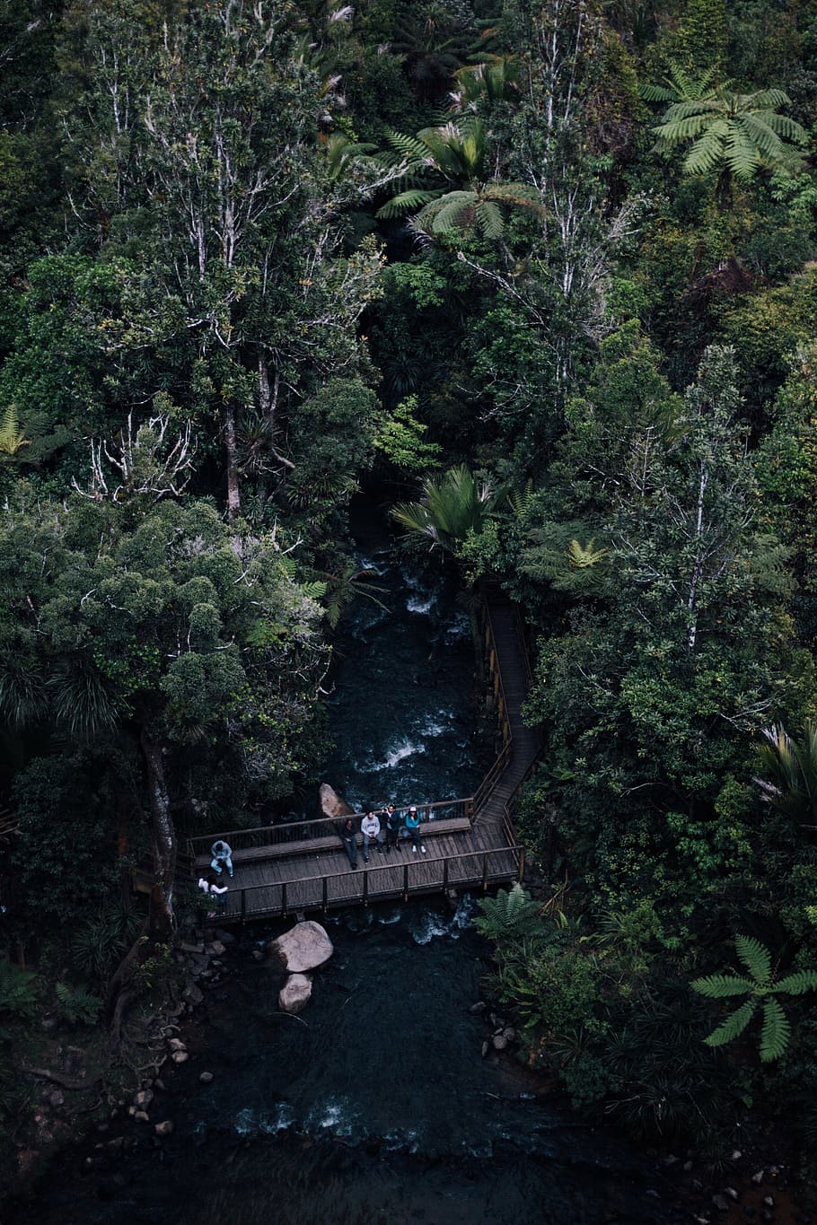 aerial photography of people standing on bridge above river HD wallpaper