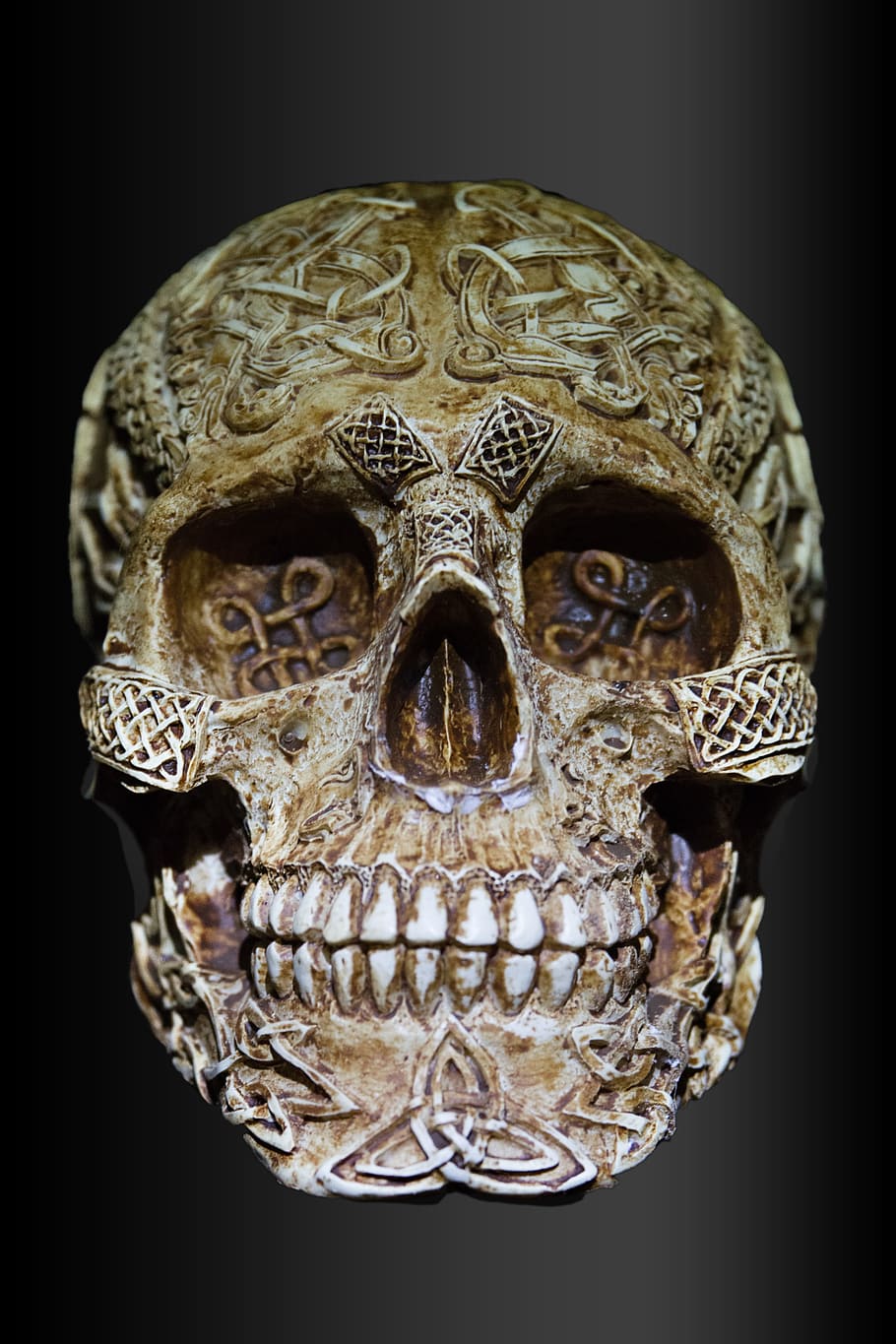 beige engrave skull decor, skull and crossbones, celts, celtic skull HD wallpaper