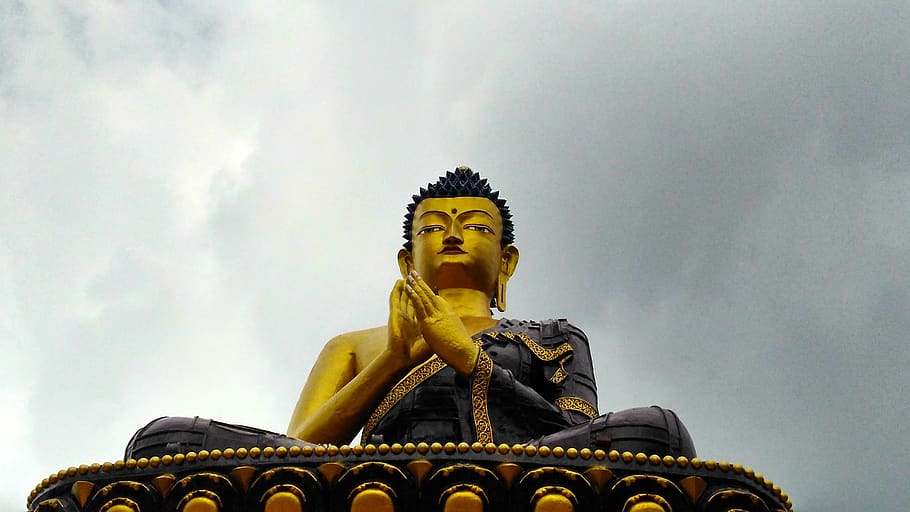 buddha, ravangla, zen, sculpture, statue, representation, human representation HD wallpaper