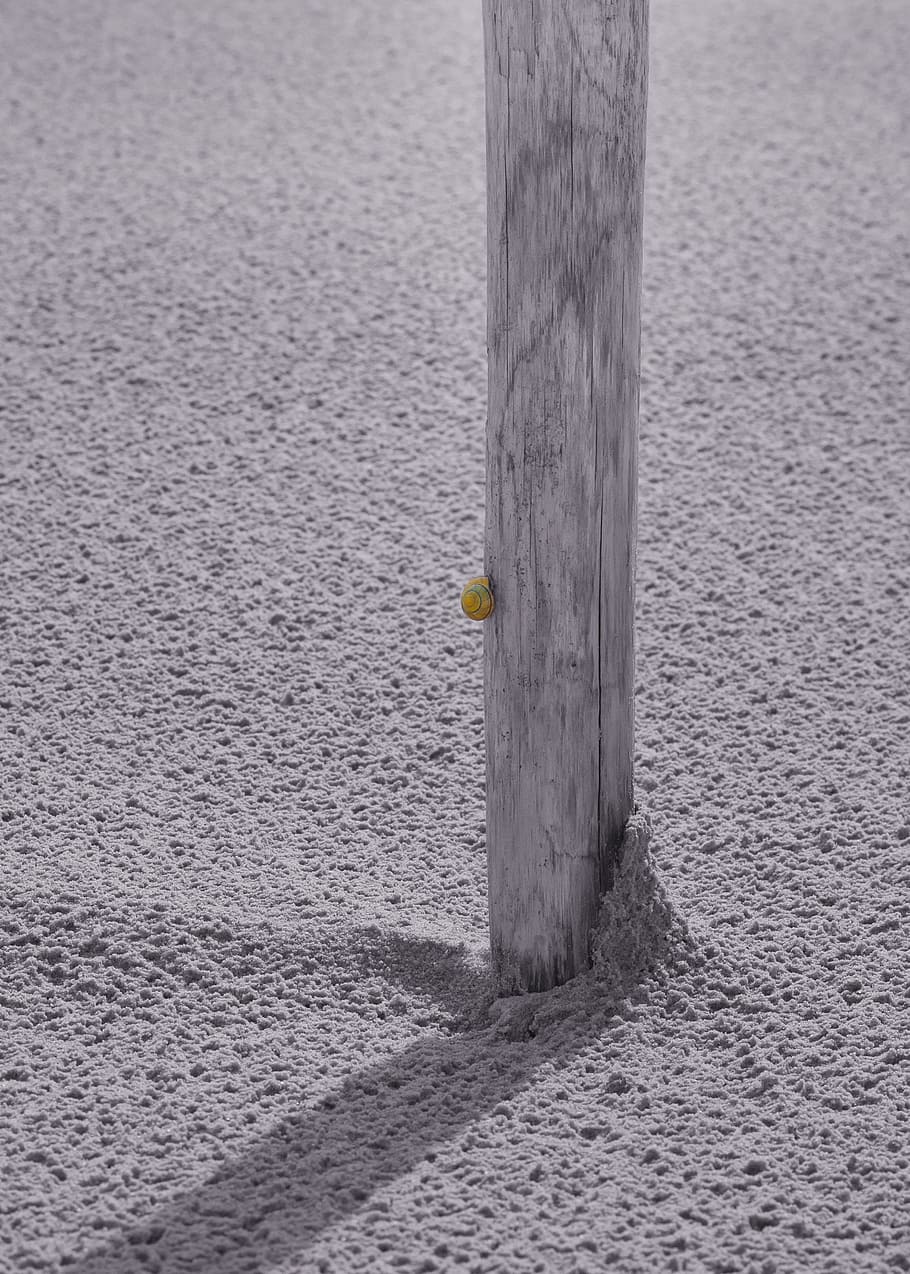 pile, wind, sand, snail, animal, nature, force of nature, shadow HD wallpaper