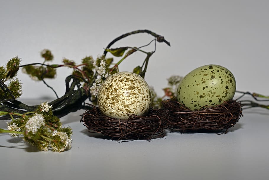 selective focus photo of two eggs on nest, easter eggs, easter nest HD wallpaper