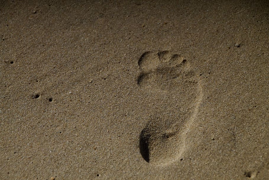 sand, footprint, beach, land, no people, high angle view, backgrounds HD wallpaper