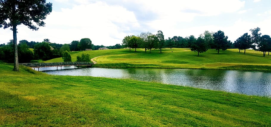 golf, grass, nature, landscape, panoramic, plant, tree, water HD wallpaper