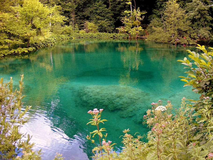 body of water center of tree, lake, blue, forest, plitvice HD wallpaper