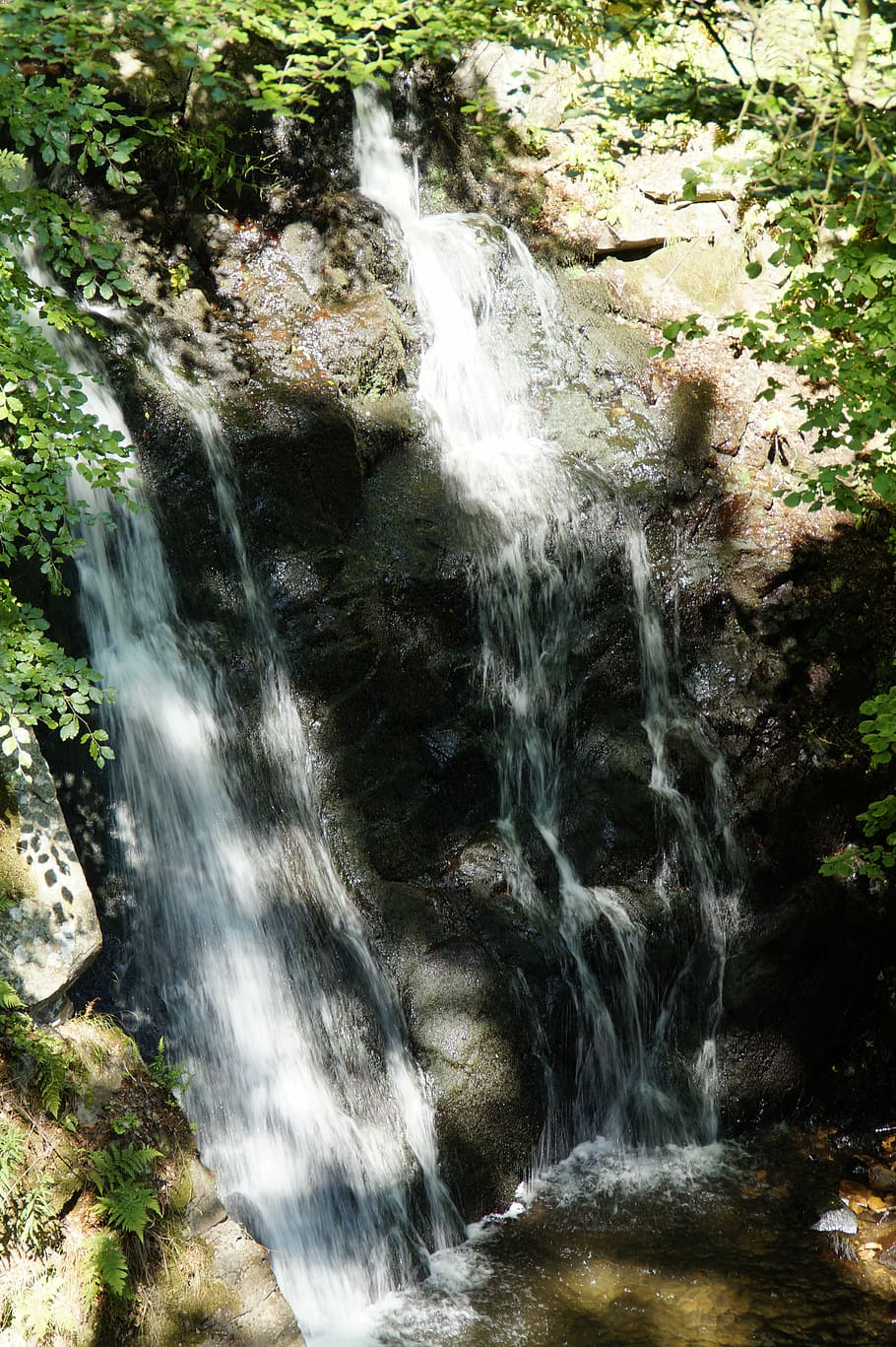 waterfall, forest, sweden, deciduous forest, nature, landscape HD wallpaper