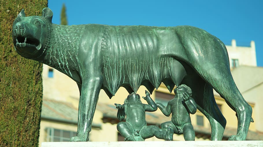 gray dog statue under blue sky, she-wolf, segovia, romulus HD wallpaper