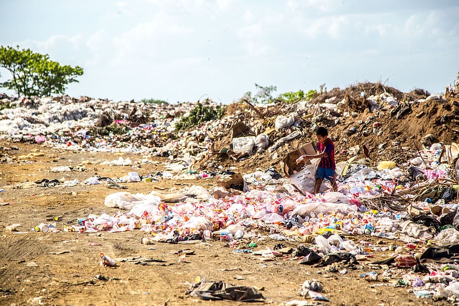 boy holding cardboard box, child scavenging on garbage pile at daytime HD wallpaper