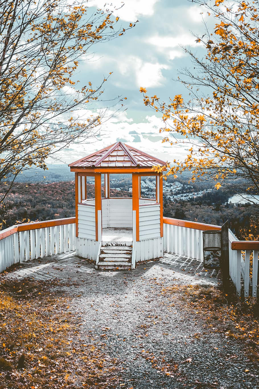 red and white empty gazebo surrounded with brown dried leaves, white and orange wooden gazebo on top of hill at daytime HD wallpaper