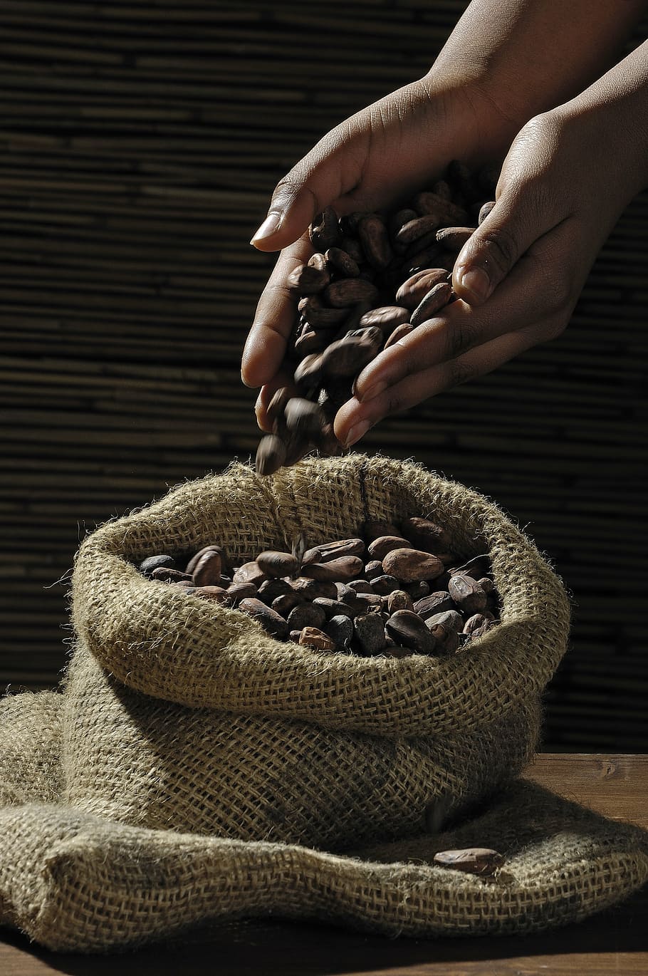 person holding brown seeds, cocoa beans, cacao, candy, chocolate HD wallpaper