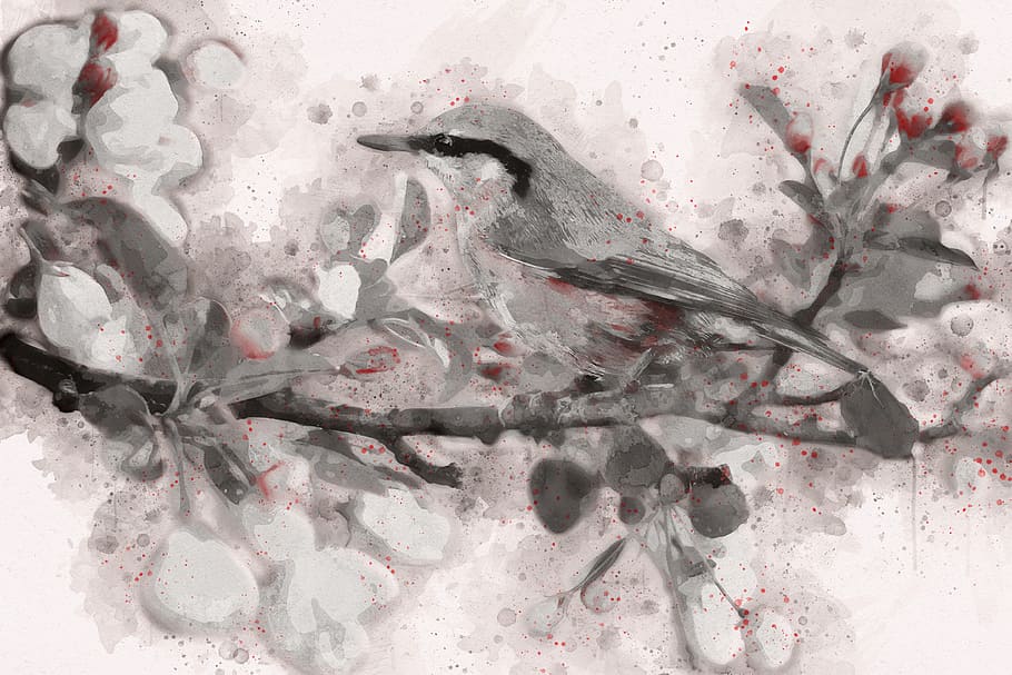 gray bird perched on branch painting, spring bird, blue, flowering tree HD wallpaper