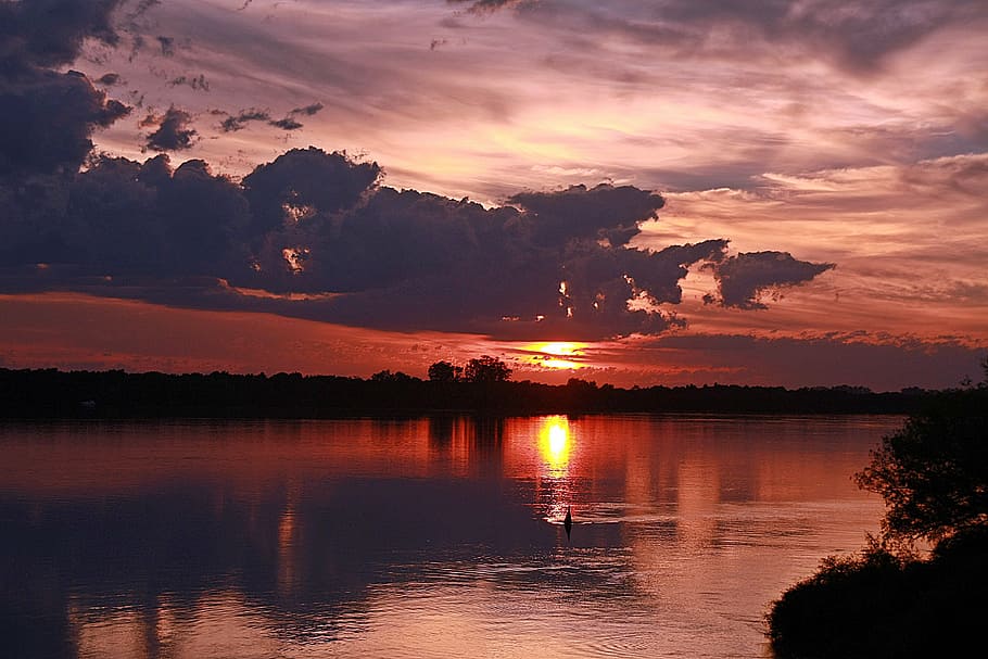 trees, water, reflection, bird, pond, sunset, sky, clouds, outdoors HD wallpaper