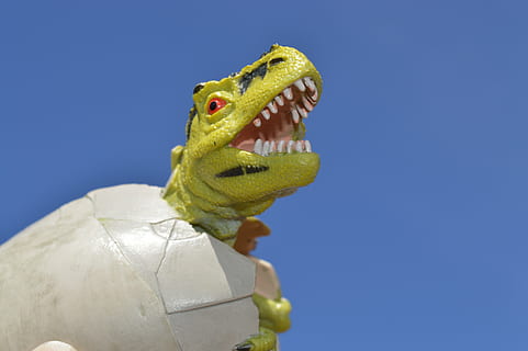 dinosaur, egg, hatch, hatching, reptile, prehistoric, jurassic HD wallpaper