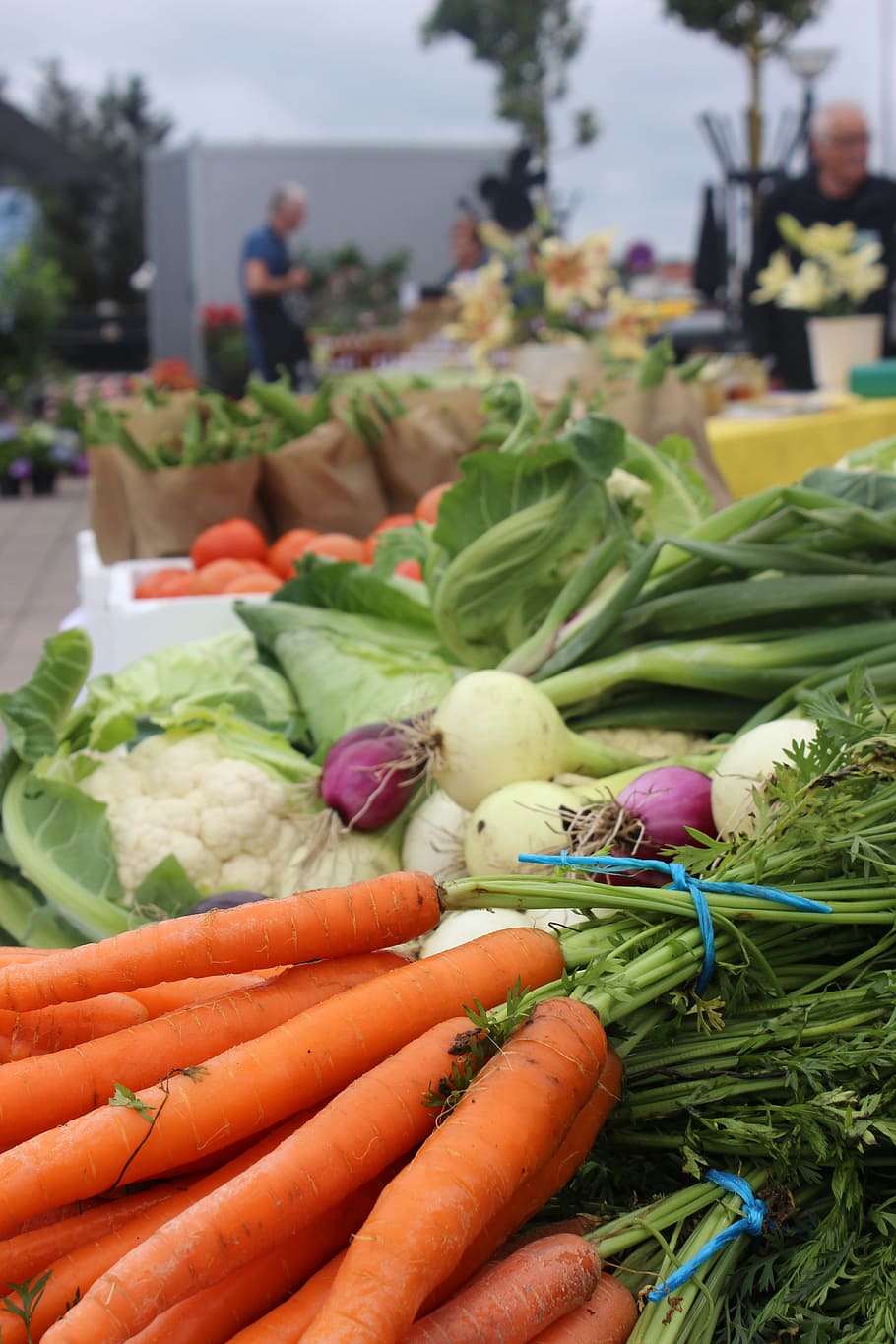 ingredients, vegetables, markets, carrots, summer, cabbage