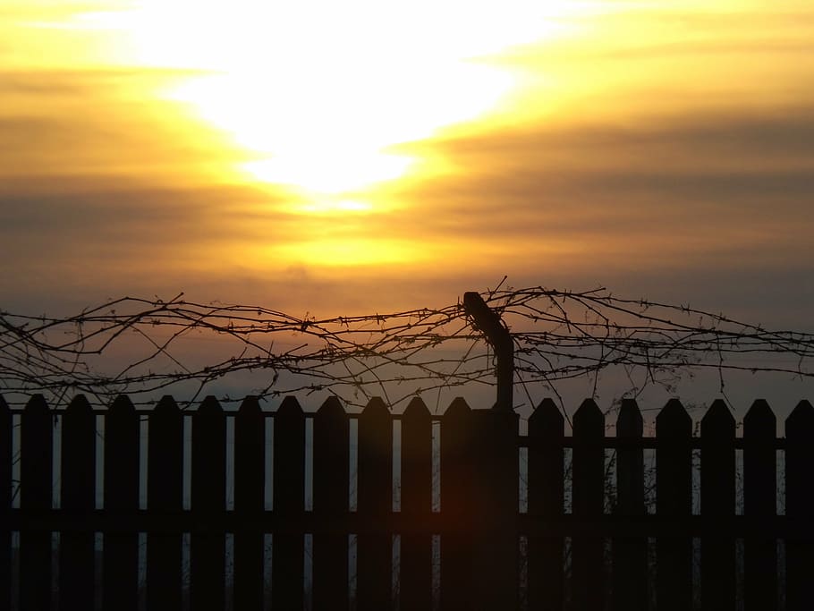 fence, sun, sky, red, cloud, barbed wire, wire barbed, sunset HD wallpaper
